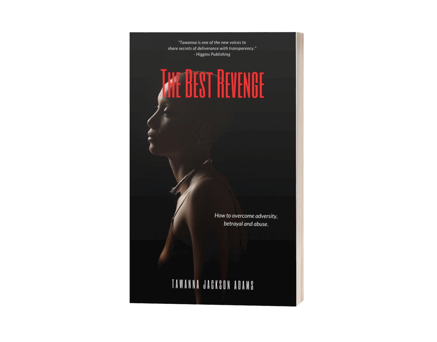 The Best Revenge - Higgins Publishing