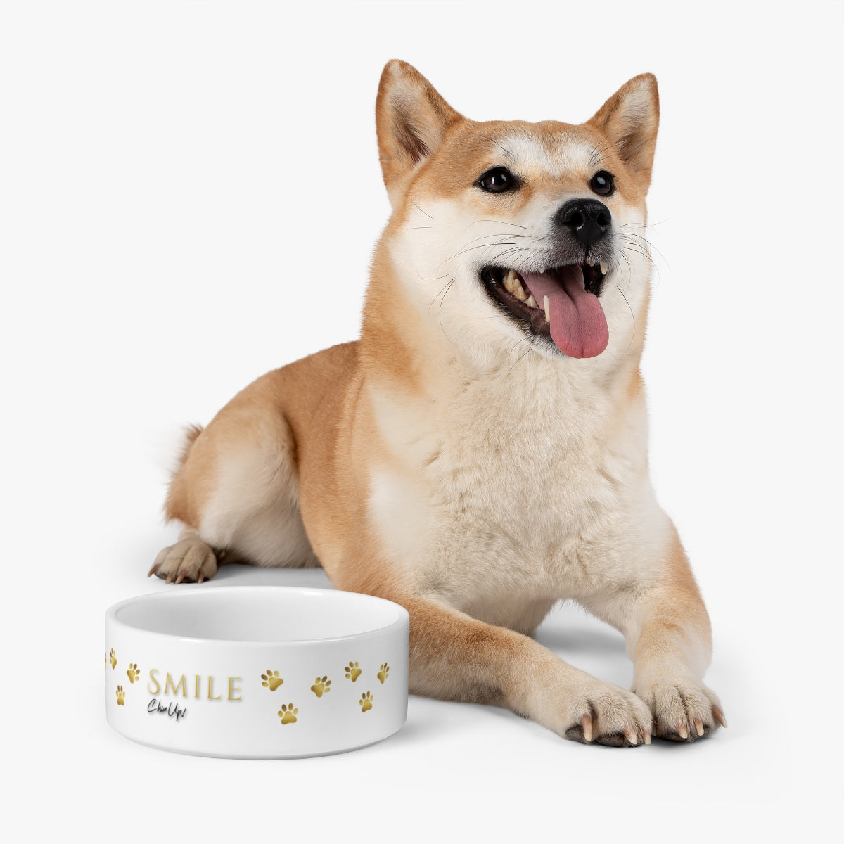 SMILE, Chin Up! Pet Bowl